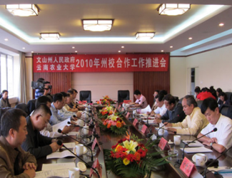 苗鄉(xiāng)三七與云南農(nóng)大簽署校企合作協(xié)議，構(gòu)建了戰(zhàn)略聯(lián)盟關(guān)系