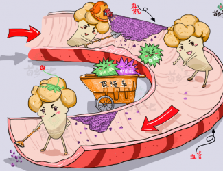 血瘀體質(zhì)的表現(xiàn)與癥狀，如何用三七活血化瘀