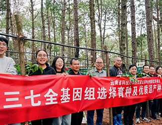 無(wú)數(shù)次從零到一，無(wú)數(shù)人前赴后繼守護(hù)三七“種業(yè)芯片”