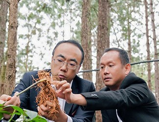 三七良種喜獲豐收，實(shí)現(xiàn)產(chǎn)量含量雙突破！