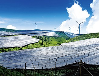 董林林博士如何看待苗鄉(xiāng)全產(chǎn)業(yè)鏈品控管理體系？